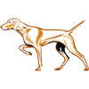 Vizsla Design