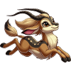 Fille antilope courant