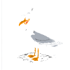 Heligoland - Seagull