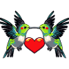 Hummingbird Bird Couple Valentine's Day