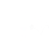 Minimalist flowers