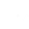 Minimalist flowers