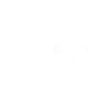 Minimalist flowers