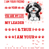 Cute Havanese Dog Owner