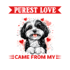 Cute Havanese Dog Owner