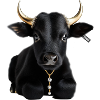 Stier schwarz