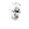 Wasserfarbener Schädel Sketch