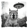 Alien Squirrel Encounter – Fun Sci-Fi