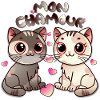 Chat amoureux