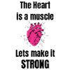 The heart is a muscle!