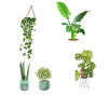 Plant Lover Gardening Love