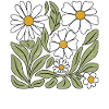 Daisy Flower Boho Flowers