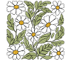 Daisy Flowers
