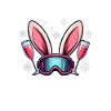 Offizieller Skihasen Betreuer