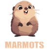 Marmots Groundhog