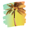 Palm tree