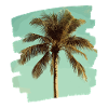 Palm tree