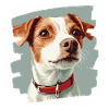 Jacky Russell