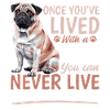 Cute Pug Dog Owner