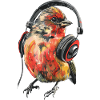 Finch Bird