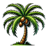 palm tree