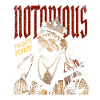 Notorious Cat – Hip-Hop Katze