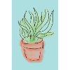 Plante1