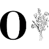 Minimalist Flowers