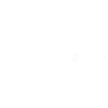 Minimalist flowers