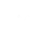 Minimalist flowers