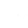 Minimalist flowers