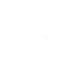 Minimalist Flowers