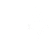 Minimalist flowers