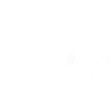 Minimalist flowers