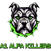 A1 ALFA ESPORTS
