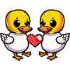 Duck Couple Valentine's Day