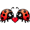 Coccinelle Couple Coeur Saint Valentin