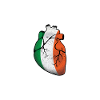 Dublin Love - Irish Heartbeat