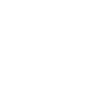 Big Bro Est 2025