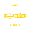 VINCENZO PARFAIT - PRENOM VINCENZO