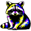 Raccoon