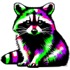 Raccoon