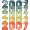 Year 2007