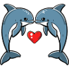 Dolphin Couple Valentine's Day