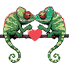 Caméléon Couple Saint-Valentin