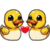 Duck Couple Valentine's Day