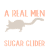 Sugar glider