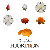 The Evolution of Cloudberries