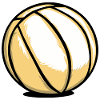 Volleyball Volleyball Team
