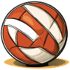 Beach Ball Volleyball Team